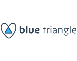 blue triangle logo